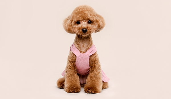 어나더유 ANOTHERUNatural linen dress (Pink) [S][XL]