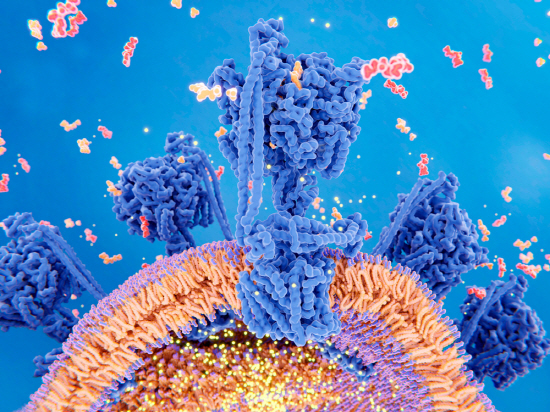 %ED%81%AC%EA%B8%B0%EB%B3%80%ED%99%98_%ED%9A%A8%EC%86%8C_w966