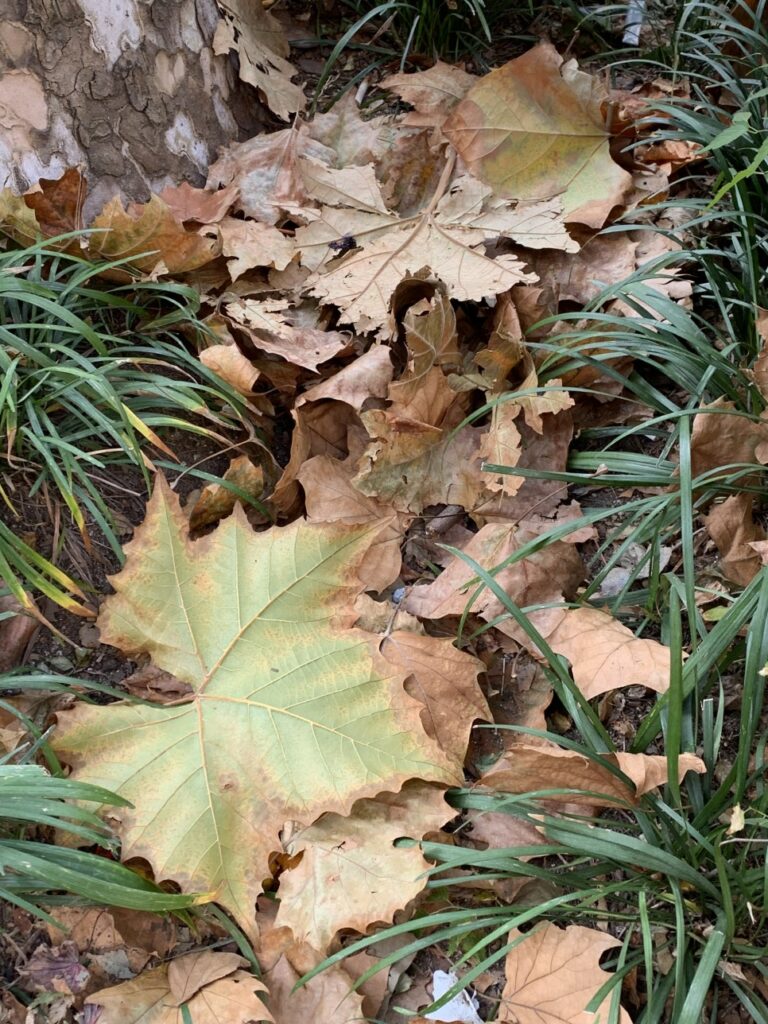 photo_1572922587_w966